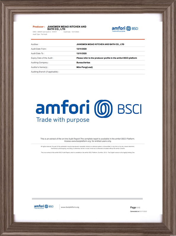 BSCI report