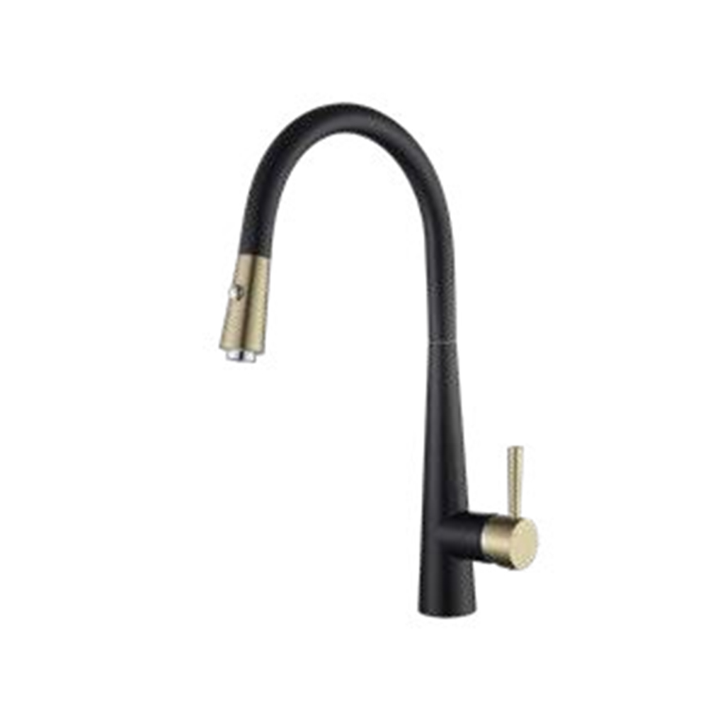 WT1004BG-KF Pull Down Kitchen Faucet