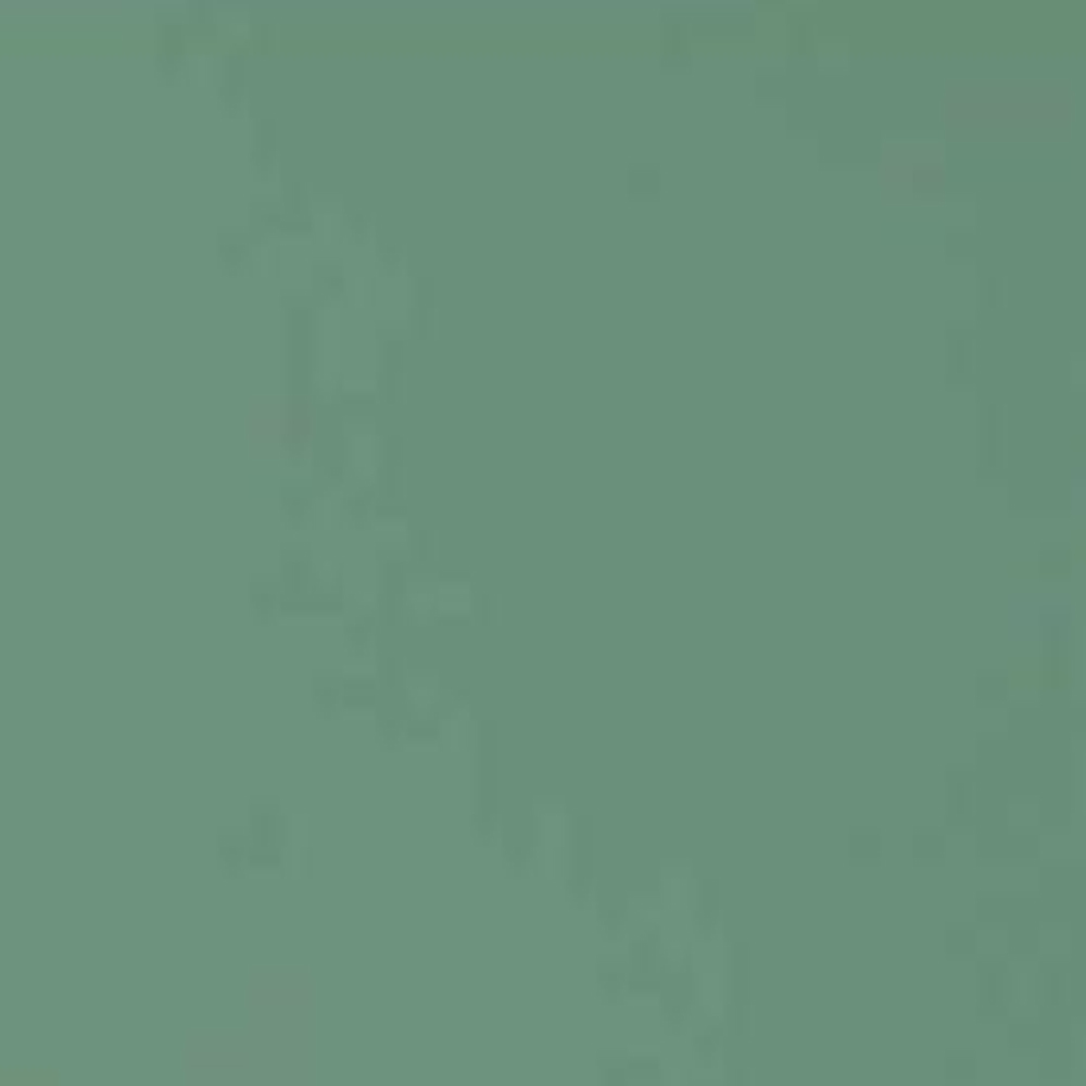 Stainless Steel Paint Color